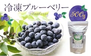 福岡県産　冷凍ブルーベリー　500g_Fx010