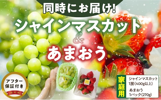 【2025年12月よりお届け】シャインマスカット（1房）、あまおう（1パック・平パック）_Fx015