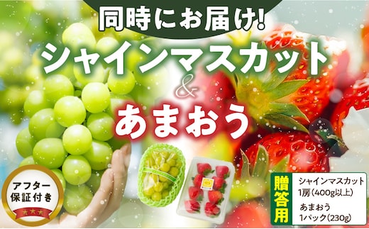 【2025年12月よりお届け】シャインマスカット（1房）、あまおう（1パック・コバヤシパック）_Fx016