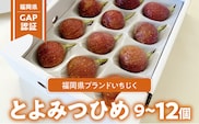 「福岡県GAP」認証！福岡県ブランドいちじく「とよみつひめ」_Fx008