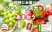 【2025年12月よりお届け】シャインマスカット（1房）、あまおう（1パック・コバヤシパック）_Fx016