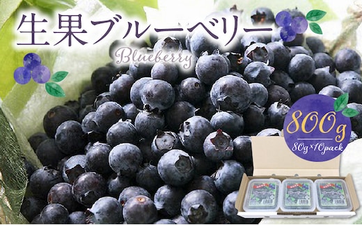 福岡県産 ブルーベリー生果 800g_Fx004