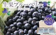 福岡県産　ブルーベリー生果 800g_Fx004