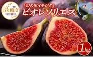 特別栽培　ビオレソリエス（黒イチジク）_Fx003