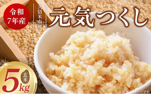 【令和7年産 新米】福岡県産ブランド米元気つくし 玄米 5kg_Gr067