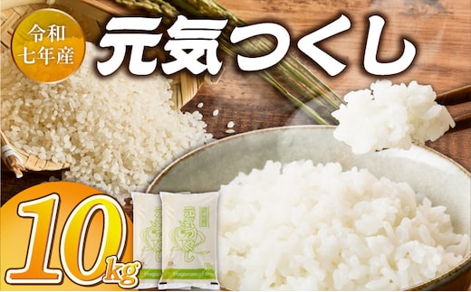 2025年新米 羽衣農園 元気つくし 白米 10kg（5kg×2） _Gr075