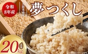 【2026年10月より順次発送】福岡県産ブランド米夢つくし 玄米 20kg【令和8年産 新米】 _Gr084