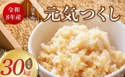 【2026年10月より順次発送】福岡県産ブランド米元気つくし 玄米 30kg【令和8年産 新米】 _Gr093