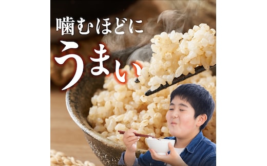 定期便6回】【令和8年産 新米】福岡県産ブランド米夢つくし 玄米 20kg