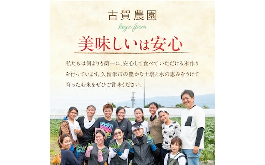 定期便6回】【令和8年産 新米】福岡県産ブランド米夢つくし 玄米 20kg