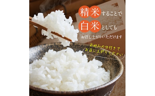 定期便6回】【令和8年産 新米】福岡県産ブランド米夢つくし 玄米 20kg