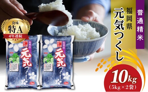 令和7年産 普通精米 福岡県産元気つくし 10kg_Gr031