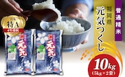 令和7年産　普通精米　福岡県産元気つくし 10kg_Gr031