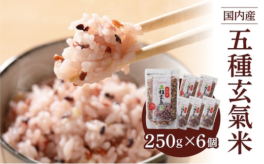 国内産 五種玄氣米 250g×6個 計1500g_Gr010