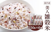 国内産 美人雑穀米 250g×6個 計1500g_Gr009