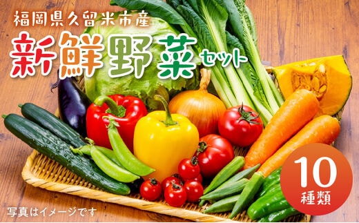 福岡県久留米市産 新鮮野菜セット