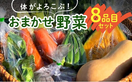 体がよろこぶ！おまかせ野菜8品目セット