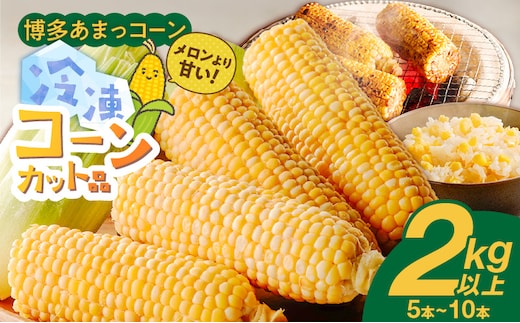 冷凍便！旬の時期に冷凍したSDGs米糠堆肥で作った博多あまっコーンカット品 2kg以上（5～10本） _Gv051-01