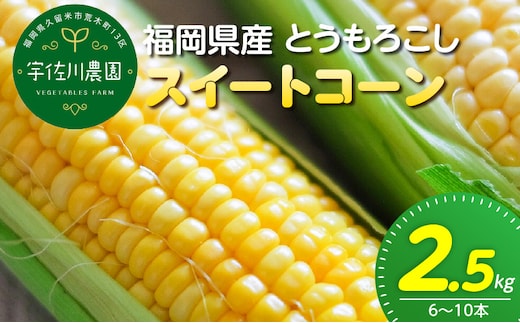 【2027年6月お届け】 福岡県産とうもろこし 2.5kg（スイートコーン） _Gv055-01