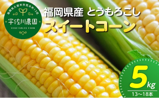【2027年6月お届け】 福岡県産とうもろこし 5kg（スイートコーン） _Gv055-02