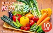 福岡県久留米市産　新鮮野菜セット