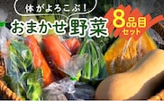 体がよろこぶ！おまかせ野菜8品目セット