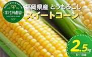 【2027年6月お届け】 福岡県産とうもろこし 2.5kg（スイートコーン） _Gv055-01