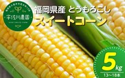 【2027年6月お届け】 福岡県産とうもろこし 5kg（スイートコーン） _Gv055-02