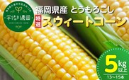 福岡県産とうもろこし 特選 5kg（スウィートコーン）_Gv034