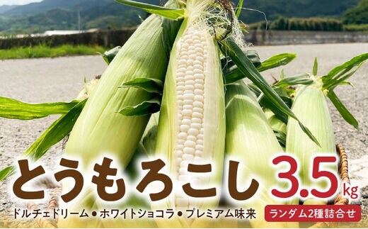 【2026年6月より順次発送】とうもろこし【ドルチェドリーム、ホワイトショコラ、プレミアム味来】ランダム2種詰合せ3.5kgセット_Gv028