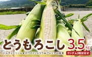 【2026年6月より順次発送】とうもろこし【ドルチェドリーム、ホワイトショコラ、プレミアム味来】ランダム2種詰合せ3.5kgセット_Gv028