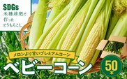 【ふくおかエコ農産物認証】農家直送！SDGs米糠堆肥で作ったベビーコーン50本【2026年5月より順次出荷】_Gv036