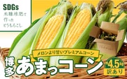 【ふくおかエコ農産物認証】【訳あり】農家直送！SDGs米糠堆肥で作った博多あまっコーンご家庭用カット品 4.5キロ以上（12～20本）【2026年6月より順次出荷】_Gv046