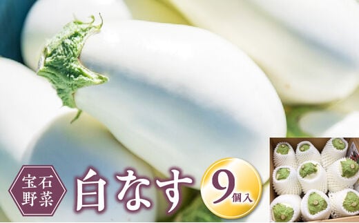 宝石野菜 白なす_Gv018