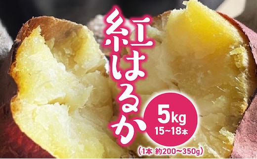 紅はるかさつまいも