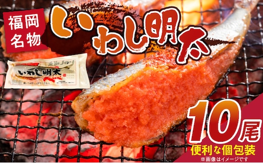 いわし明太 10尾_Gx007