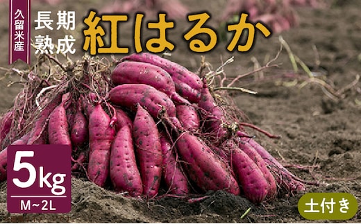福岡県久留米市産 長期熟成紅はるか 5kg M～2L 土付き_Gx036