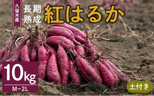 福岡県久留米市産 長期熟成紅はるか 10kg M～2L 土付き_Gx040