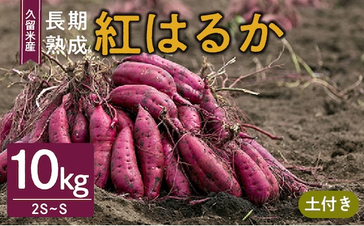 福岡県久留米市産 長期熟成紅はるか 10kg 2S～S 土付き