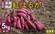 福岡県久留米市産　長期熟成紅はるか 5kg　M～2L　土付き_Gx036