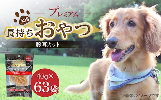 プレミアム長持ちおやつ 犬用（豚耳カット）40g×63袋_Pf058