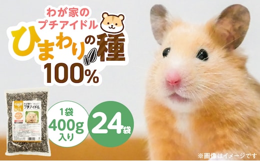 わが家のプチアイドル ひまわりの種 100%（400g×24袋）_Pf083-01