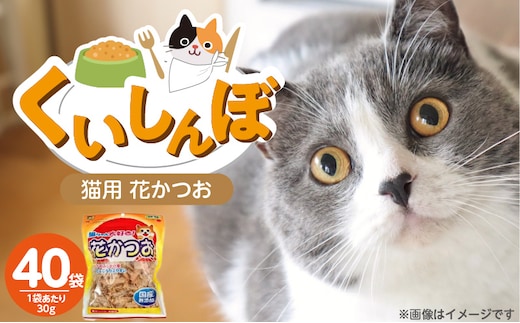 くいしんぼ 猫ちゃん大好き 花かつお 30g×40袋セット _Pf087-01