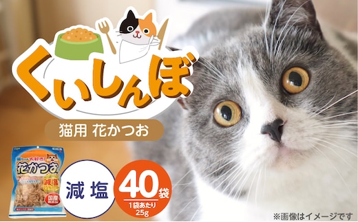 くいしんぼ 猫ちゃん大好き 花かつお 減塩 25g×40袋セット _Pf087-02
