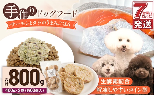 1cofood 手作りドッグフード サーモンとタラのうまみごはん 400g×2袋