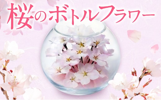 桜のボトルフラワー_Qb044