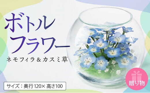 ネモフイラとカスミ草のボトルフラワー