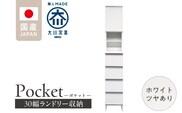 ランドリー収納 【ポケット 30 HI】 ホワイト つや有_Qd076-01