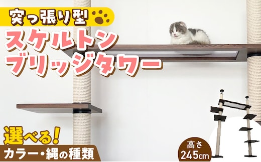 スケルトンブリッジタワーBLB-P1200（高さ245cm） _Qx092-02