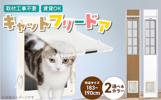 猫用キャットフリードア JD-1800 _Qx101-01